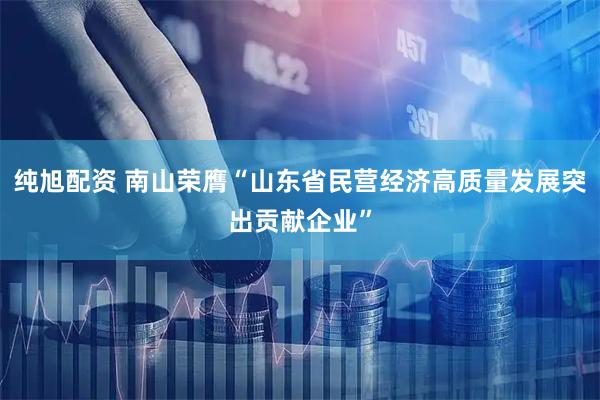 纯旭配资 南山荣膺“山东省民营经济高质量发展突出贡献企业”