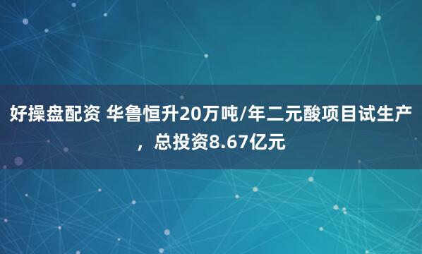 好操盘配资 华鲁恒升20万吨/年二元酸项目试生产，总投资8.67亿元
