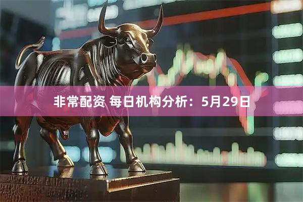 非常配资 每日机构分析：5月29日